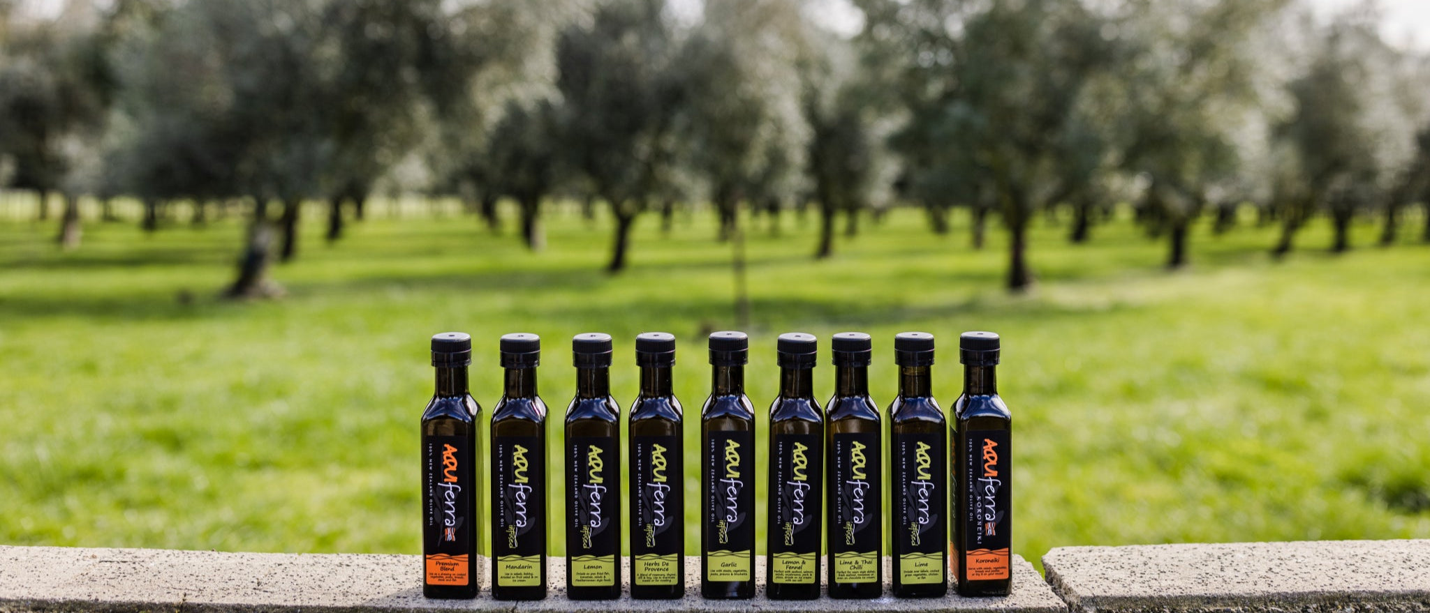 A line up of all our olive oil bottles with the olive grove in the background